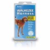 Dresūros petnešos
