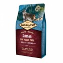 Carni Love Salmon Adult Cat Sensitive & Long Hair sausas maistas katėms