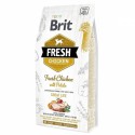 Brit Fresh Chicken With Potato Adult  šunų maistas