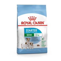 Royal Canin Mini Starter sausas maistas šunims