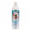 BIO-GROOM Natural Oatmeal šampūnas šunims