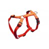 Petnešos Gyvūnui Harness 3x Adjustable Nylon (Oranžinės)