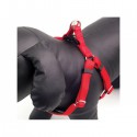 Petnešos šunims Soft Protection Harnesses Red