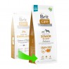 Brit Care Senior & Light Salmon maistas šunims