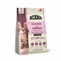 Acana Kitten First Feast sausas maistas kačiukams