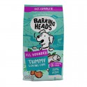 BARKING HEADS Tummy Lovin Care Fish Šunims Su Žuvimi